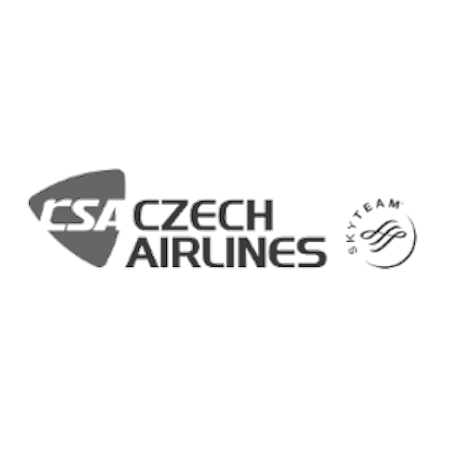 Logo partnera